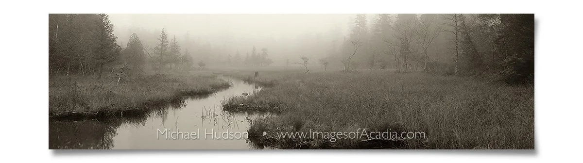 Tributary leading to Jordan Pond, Acadia National Park, Maine