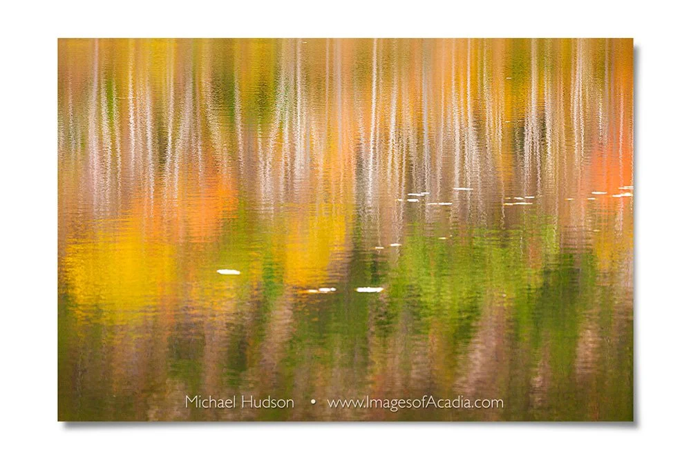 Reflections on Beaver Dam Pond, Acadia National Park, Maine, USA