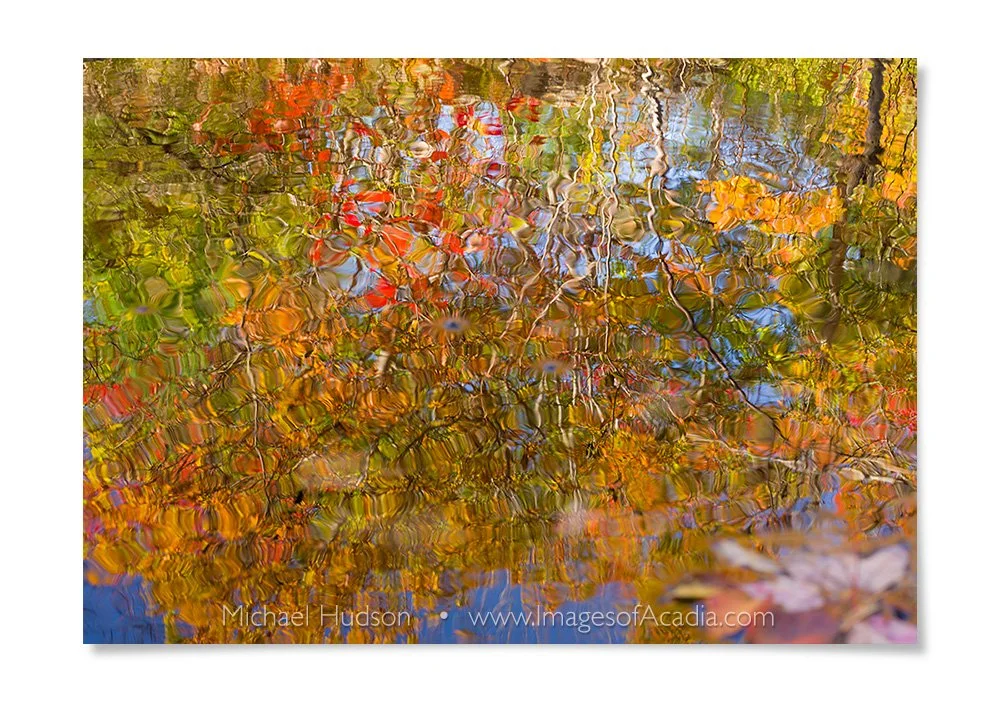Abstract reflections at Duck Brook, Acadia National Park, Maine,
