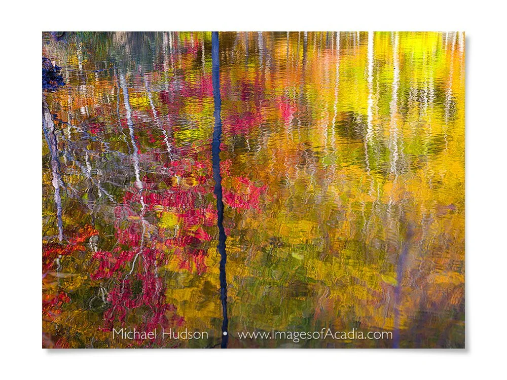 Peaceful autumn morning along the Canon Brook Trail, Acadia Nati