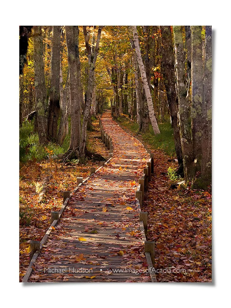 The Jesup Path, Acadia National Park, Maine, USA