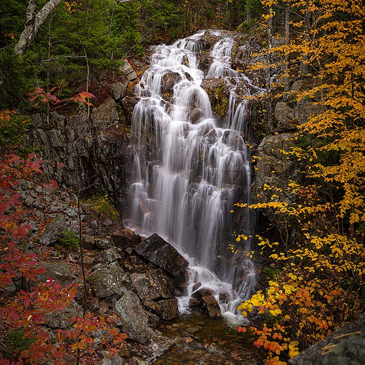 Waterfall Bridge and stream, Acadia National Park, Maine, USA (Copy)
