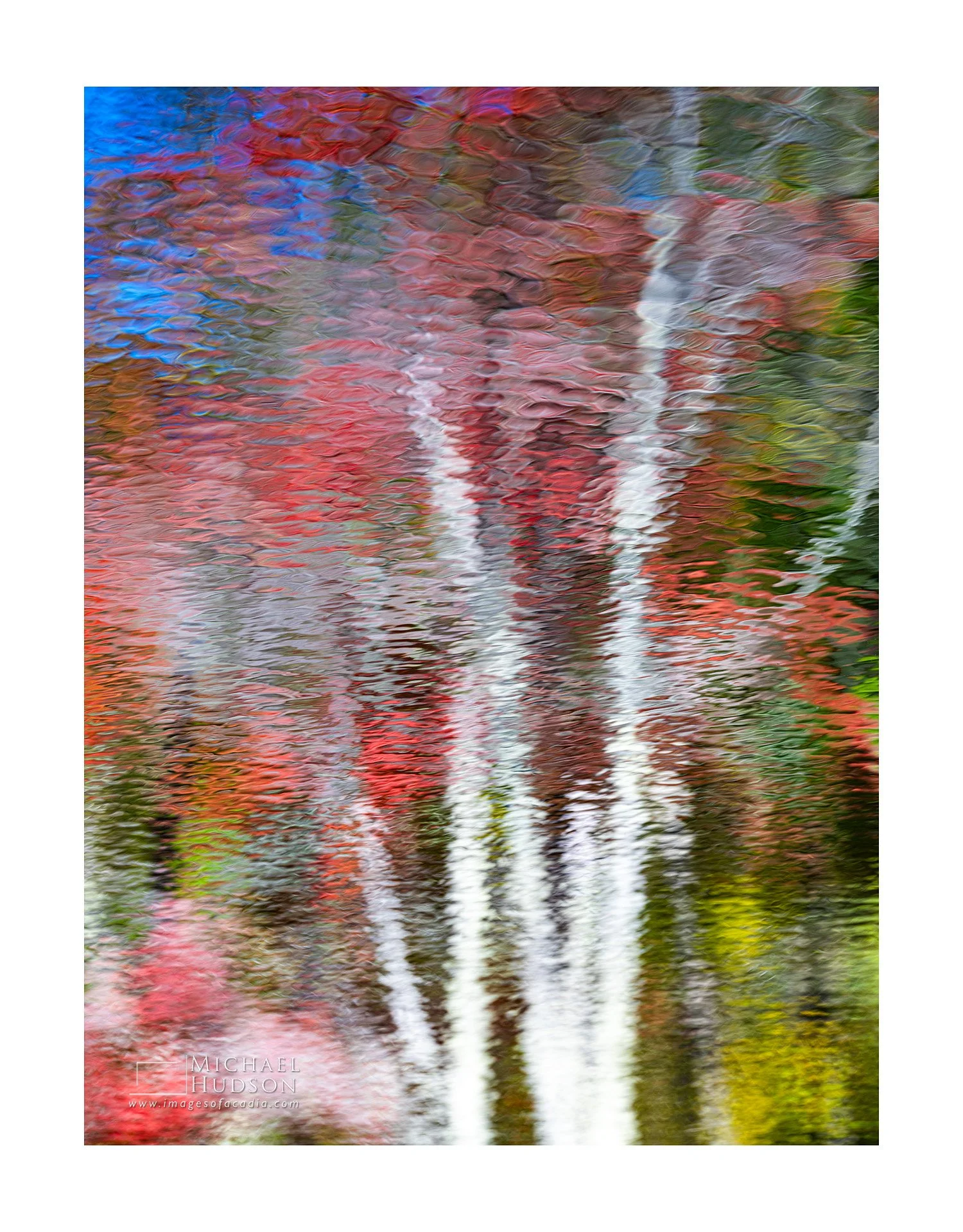Autumn Essence CXXVII/ Limited Edition Print No. 2S5-1609