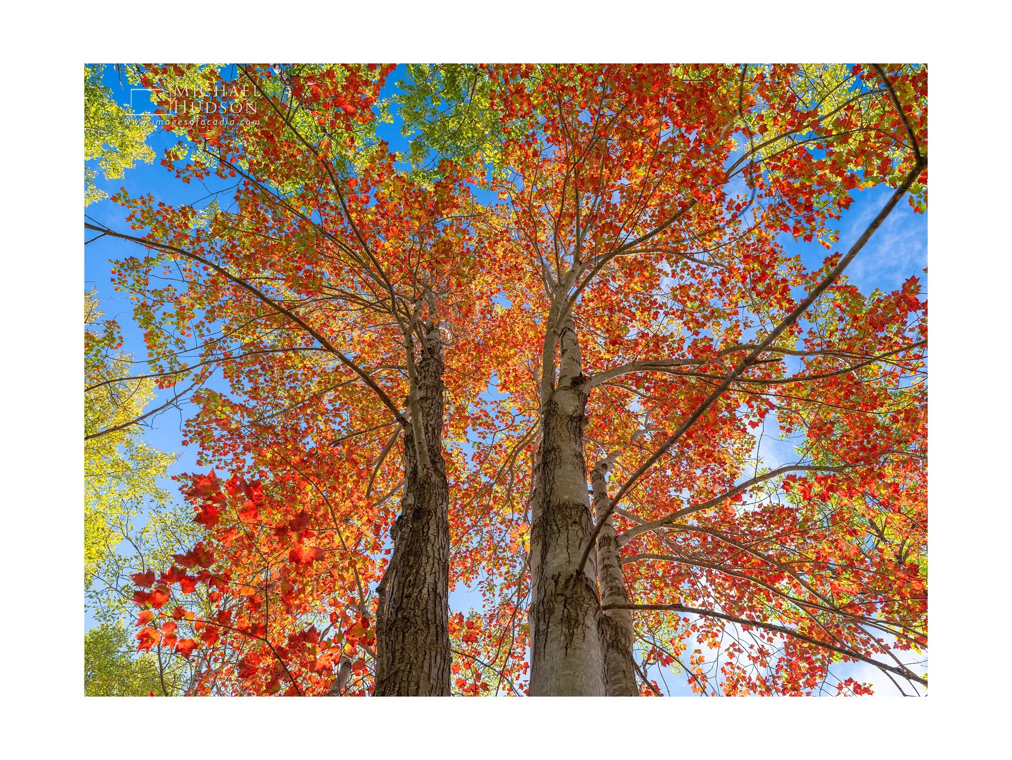 Upwards II/ Limited Edition Print No. 2S5-2247