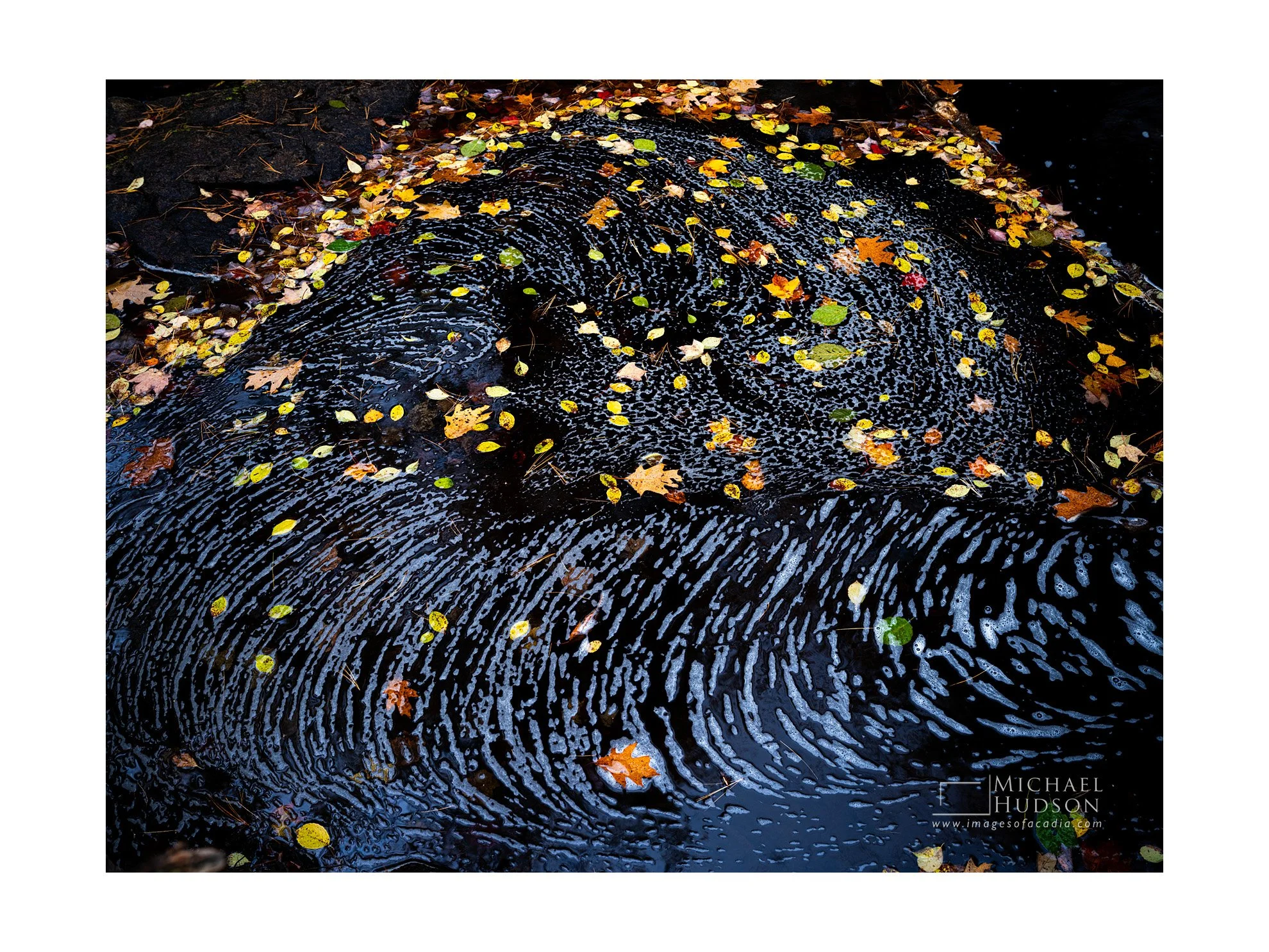 Face in the Stream/ Limited Edition Print No. 2S5-2462