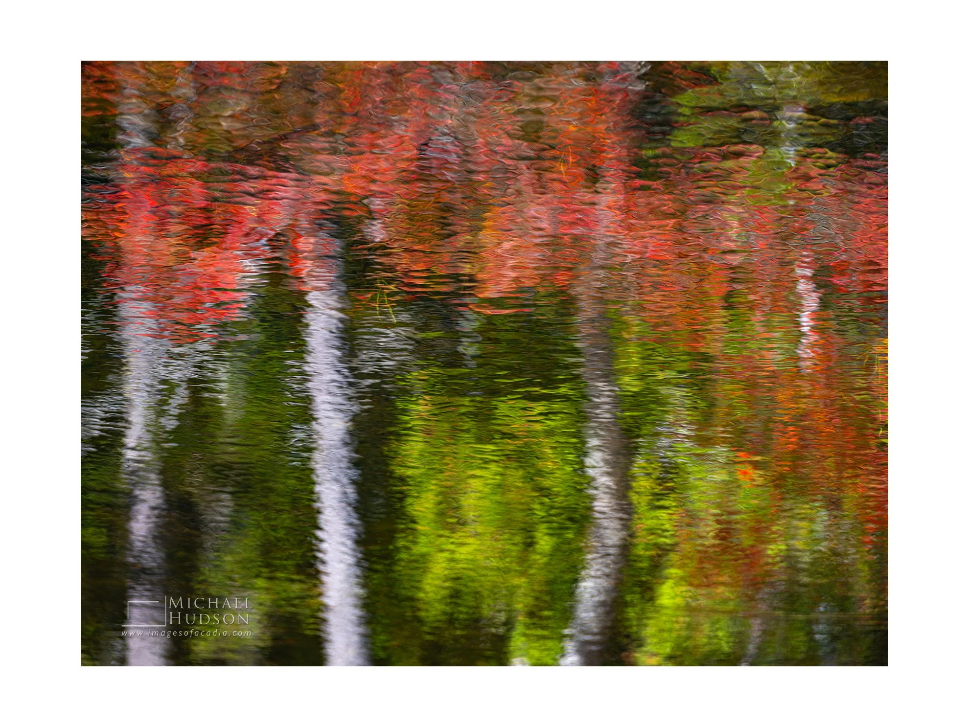 Autumn Essence CXXVIII/ Limited Edition Print No. 2S5-1723