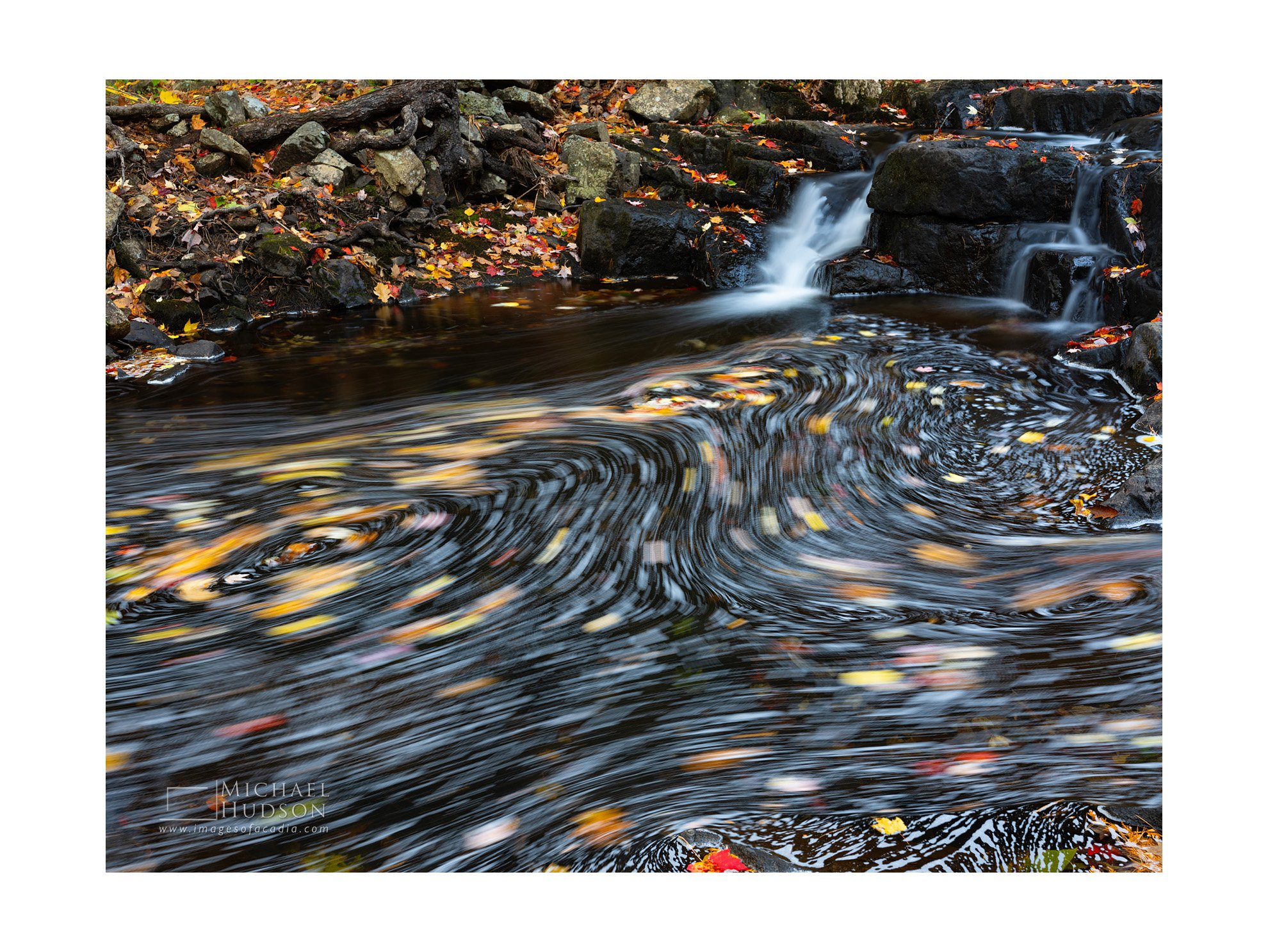 Swirling Leaves, Duck Brook Pond/ Limited Edition Print No. 2S4-2336
