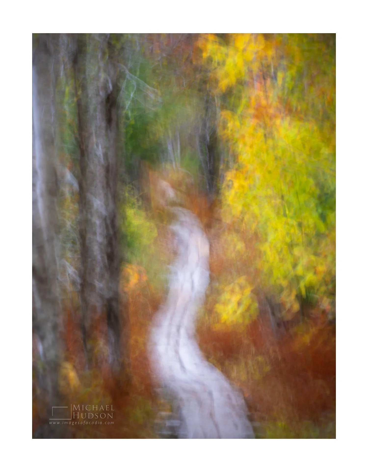 Autumn Essence CXXIX/ Limited Edition Print No. 2S5-1964