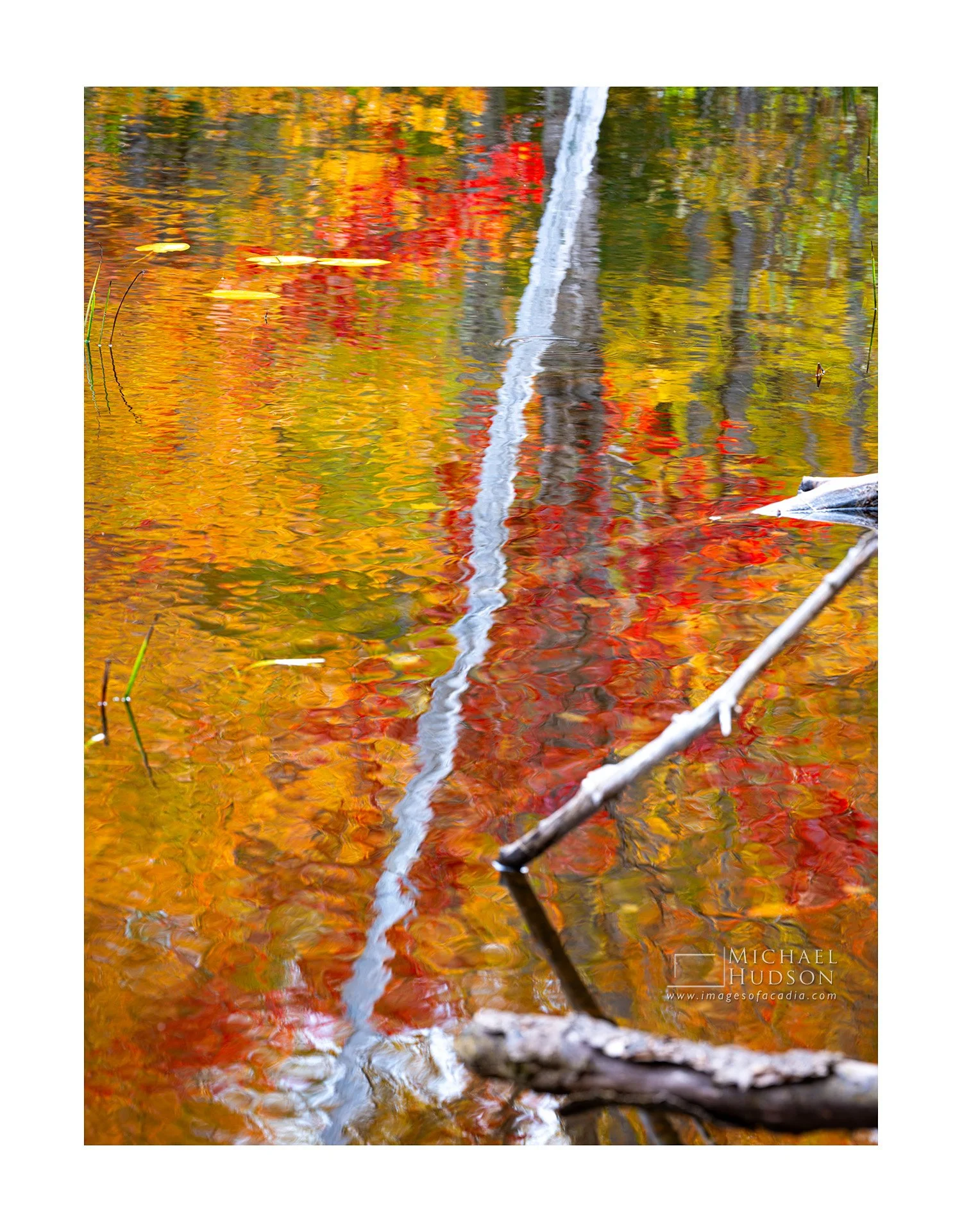 Autumn Essence CXXX/ Limited Edition Print No. 2S5-2388