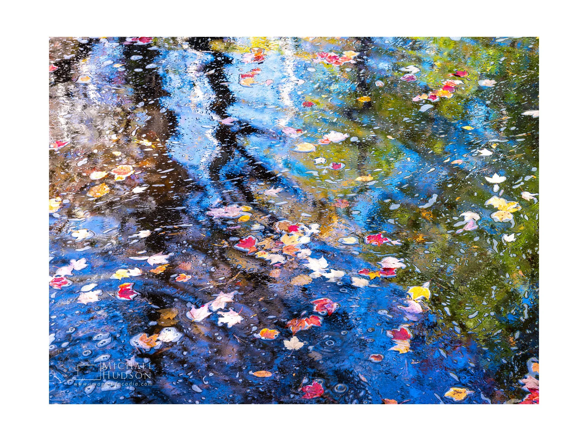 Pool of Color/ Limited Edition Print No. 2S5-1654
