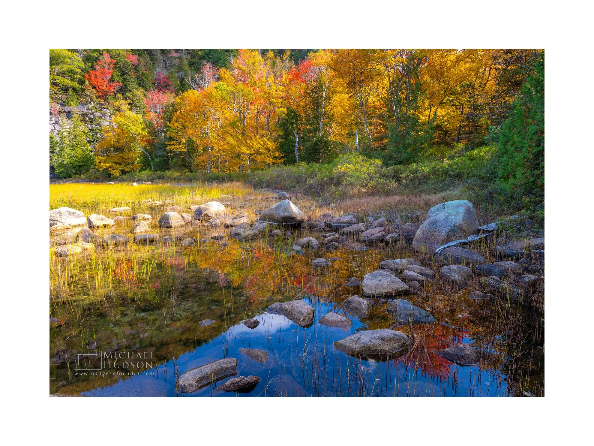 Sky, Reeds, Rocks and Trees, Bubble Pond/ Limited Edition Print No. 2S5-2775