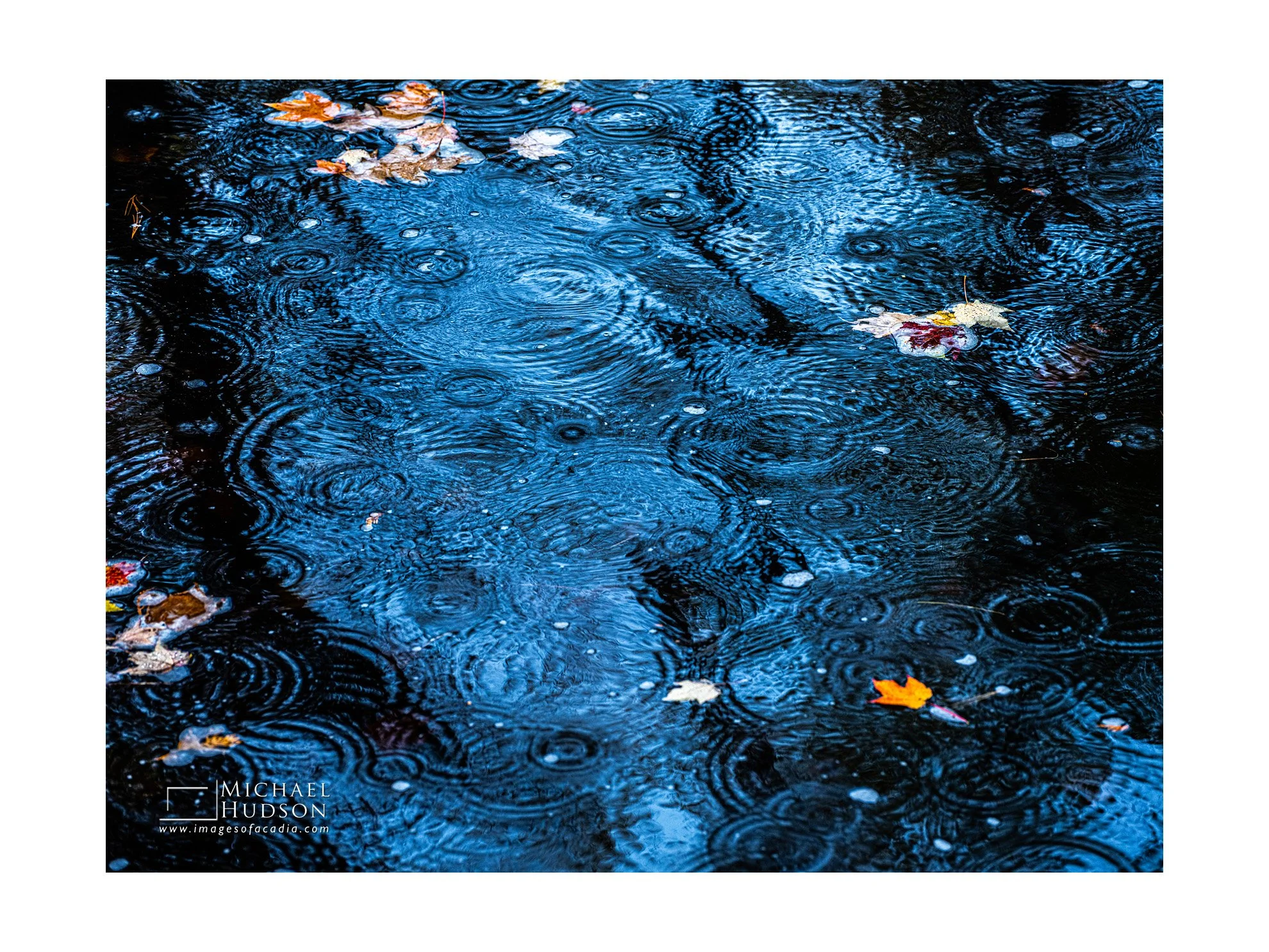 Acadia Blue/ Limited Edition Print No. 2S5-2472