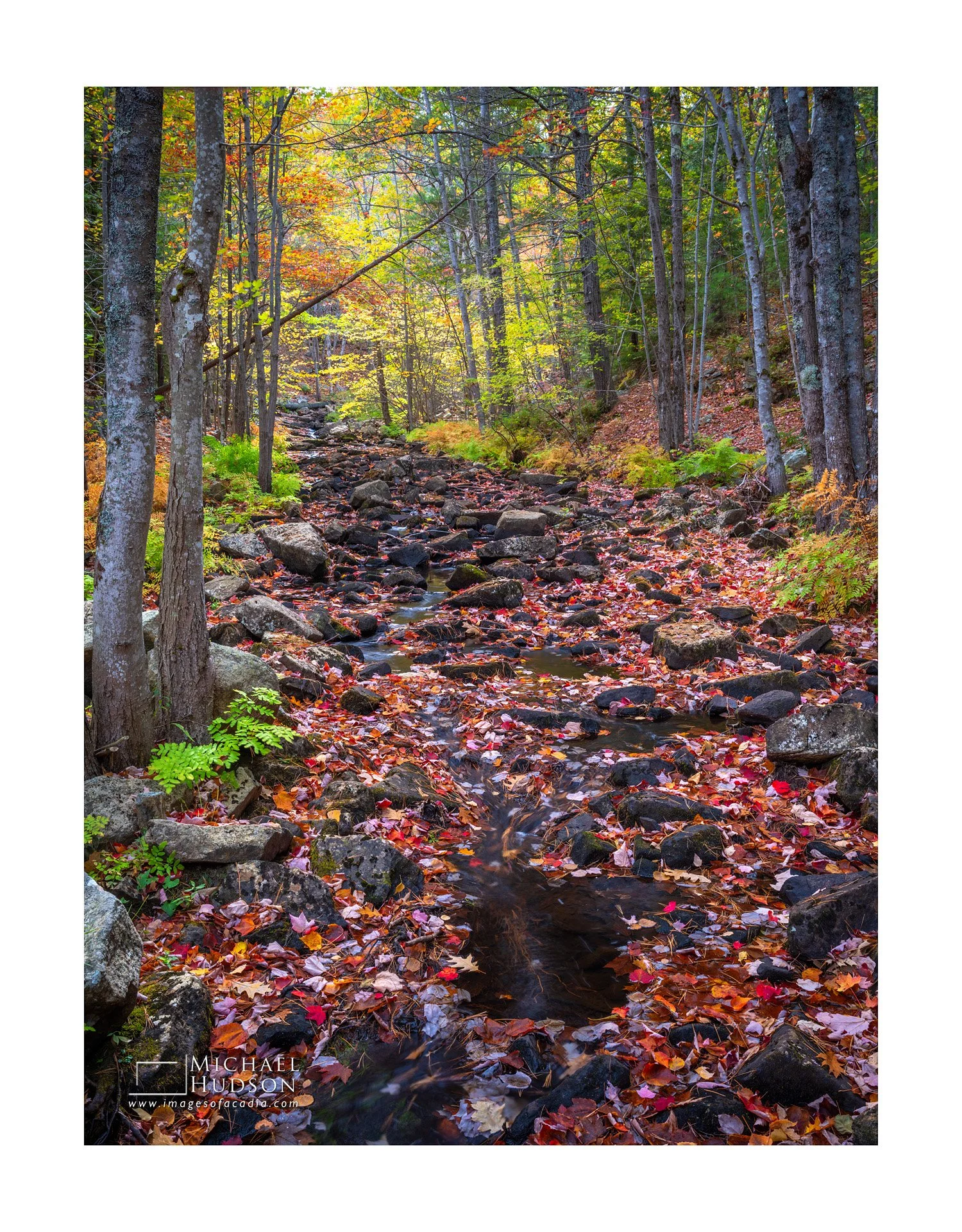 Boulders and Fallen Leaves, Duck Brook/ Limited Edition Print No. 2S5-1881