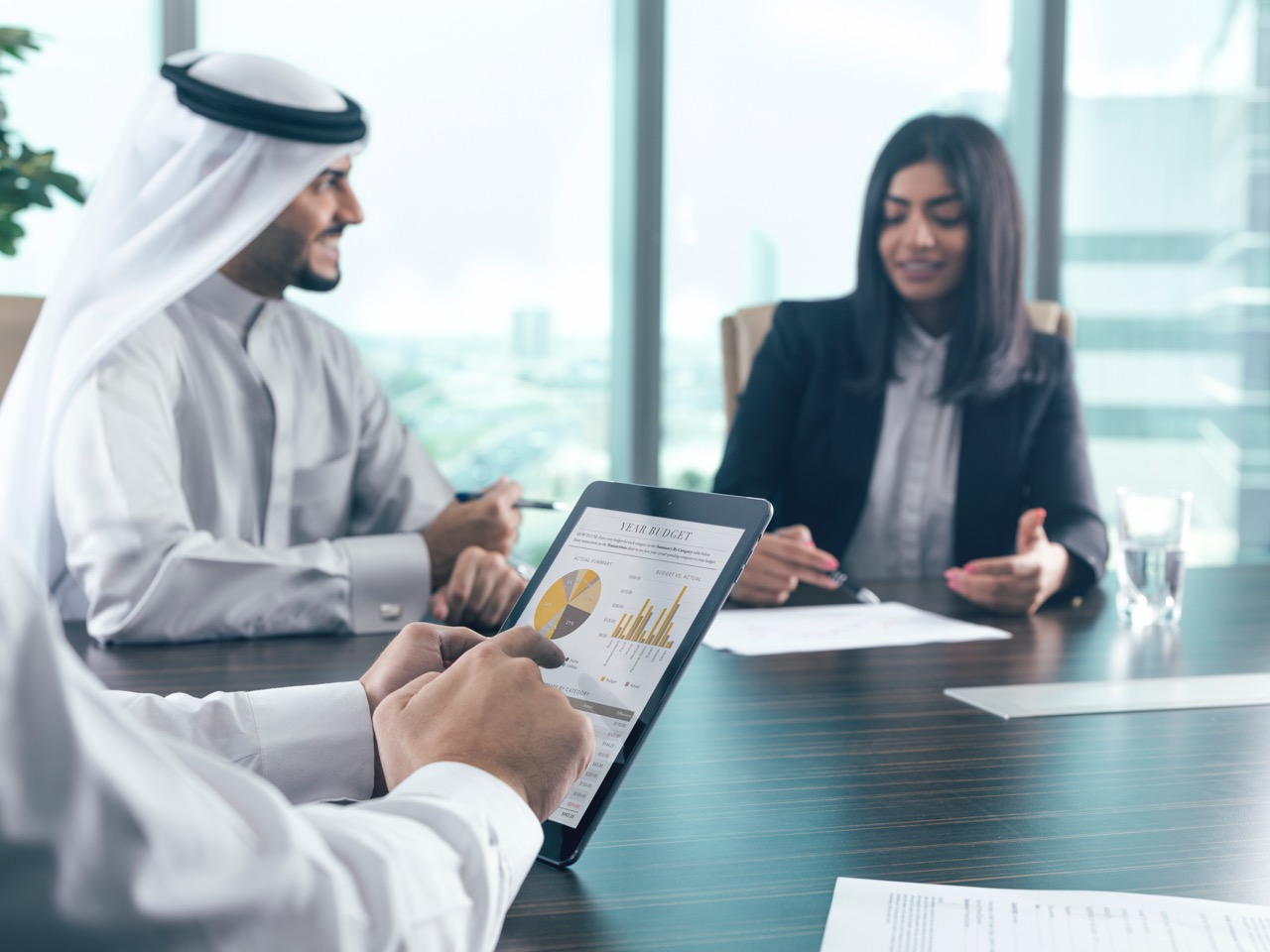 Viva Business Brochure - Ali Riffai
