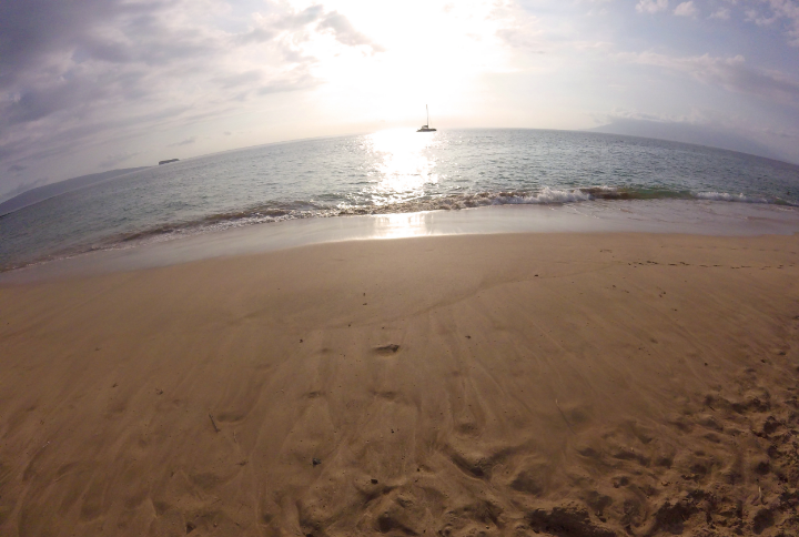 Check out the little crabs running through the beach!