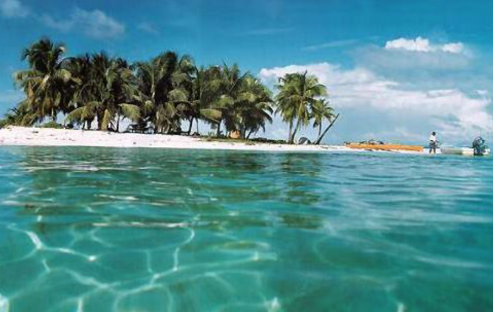 The cay offer some of the most exhilarating diving and snorkeling. Get to swim amongst the plentiful and exotic coral life, butterfly, snapper, parrot, angel, lobster and rays.