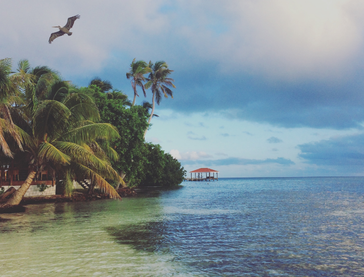 There is a hotel, a restaurant and a pool in this beautiful island. There are also snorkeling and scuba rentals. 