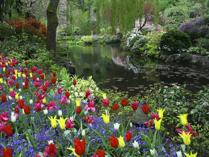 A BEAUTIFUL garden outside the city. The entrance is like $30 and will be totally worth it if you love plants and flowers :)