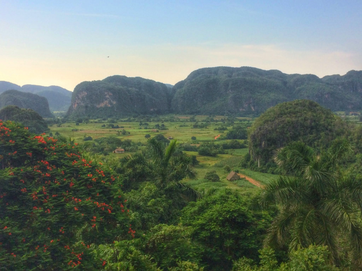 If you are not with a tour, I recommend you to go and explore the area and check some of the tobacco plantations.