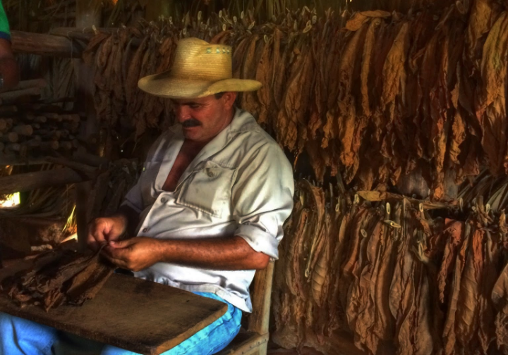 Learn how to make and smoke a real cuban cigar. If you are planning to buy some as a souvenir, you will find cheaper outside the city.