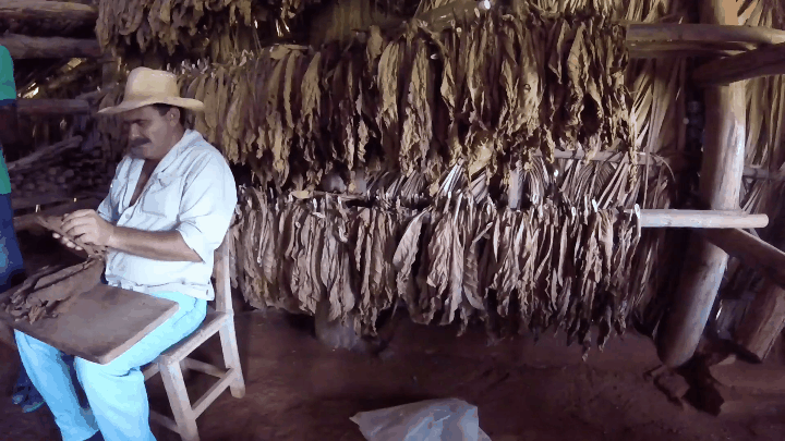I don't smoke, but I couldn't miss that experience of tasting a cuban cigar. In "Valle de Viñales" I got habanos per cuc. Your friends/family would love it!