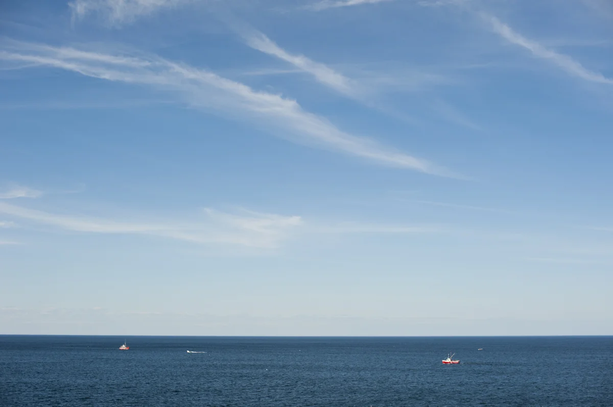 DSC_2320.jpg