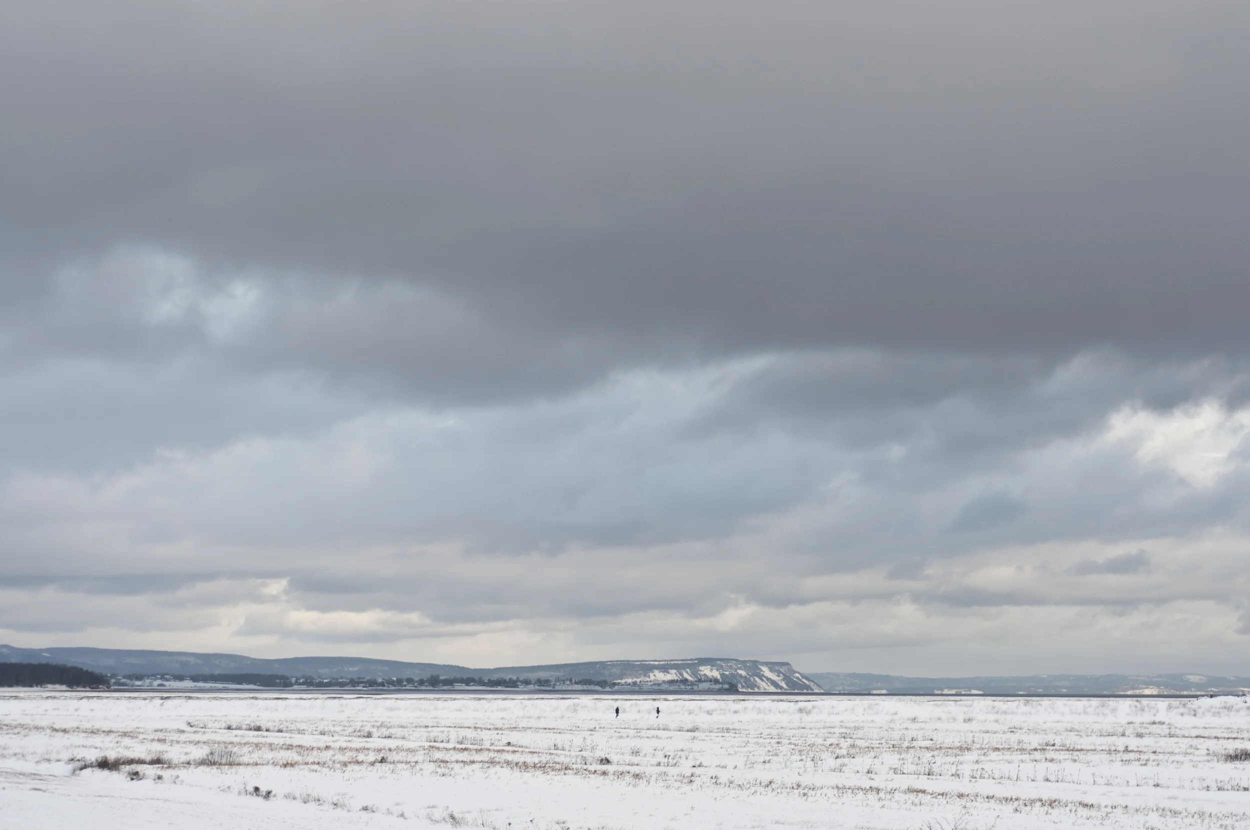 _DSC0793.jpg