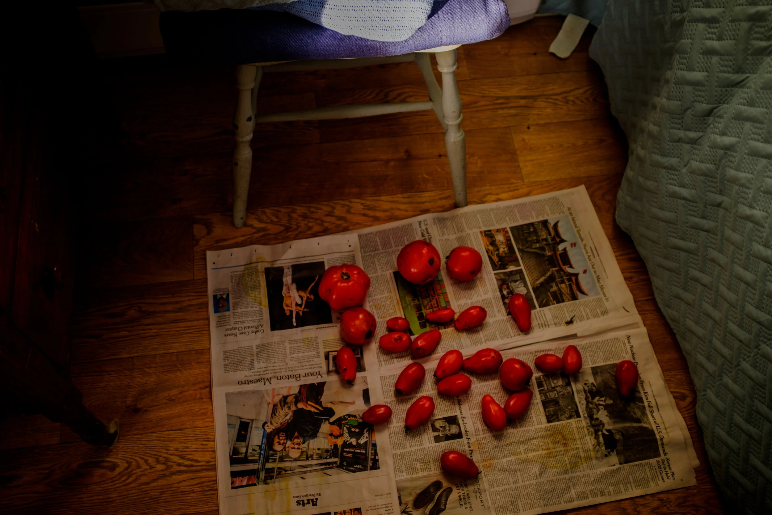 Tomatoes, 2018.