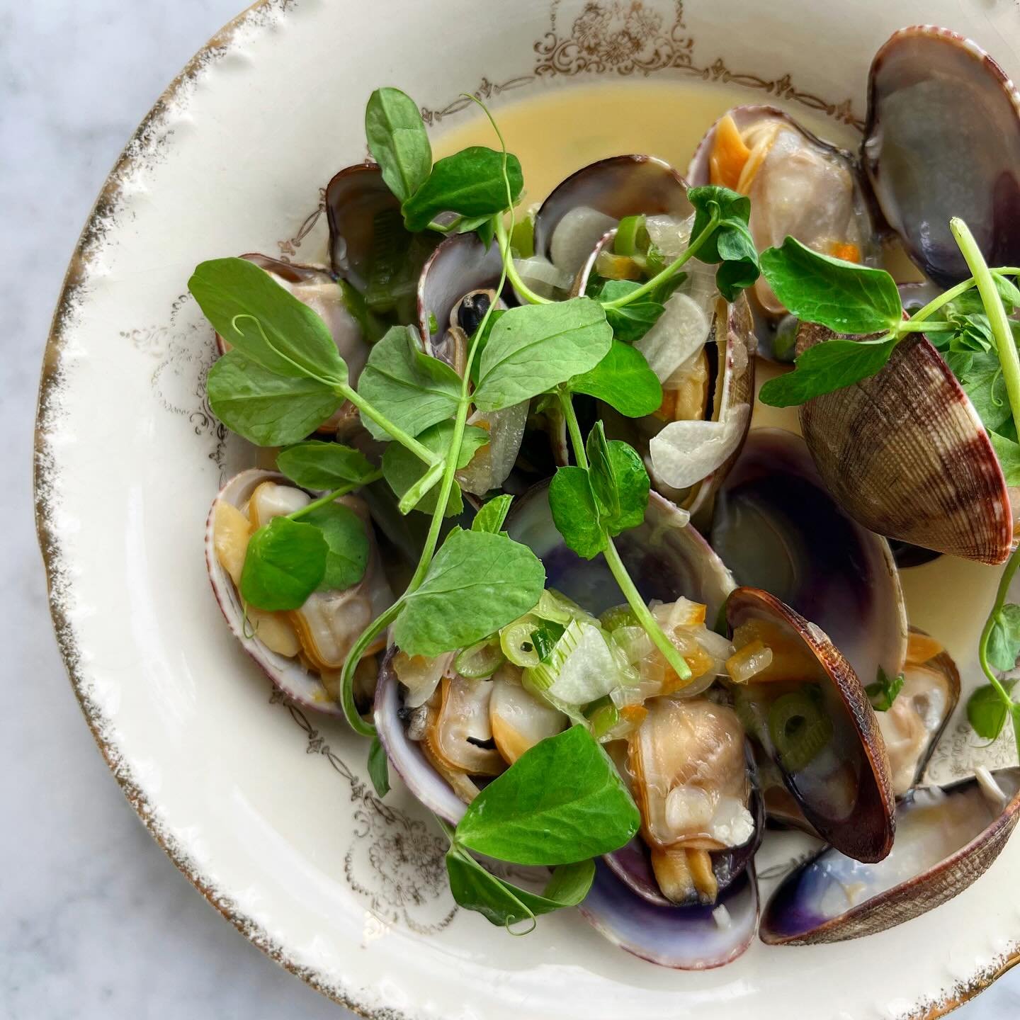 Pretty Manila clams in white soy, sake, preserved Meyer lemon, and spring onion. This comes with a spoon, but you may just want to slurp the broth straight from the bowl. 

See you before/during/after @fieldandsupply!

Thu 5-10pm
Fri 5-10pm
Sat 2-10p