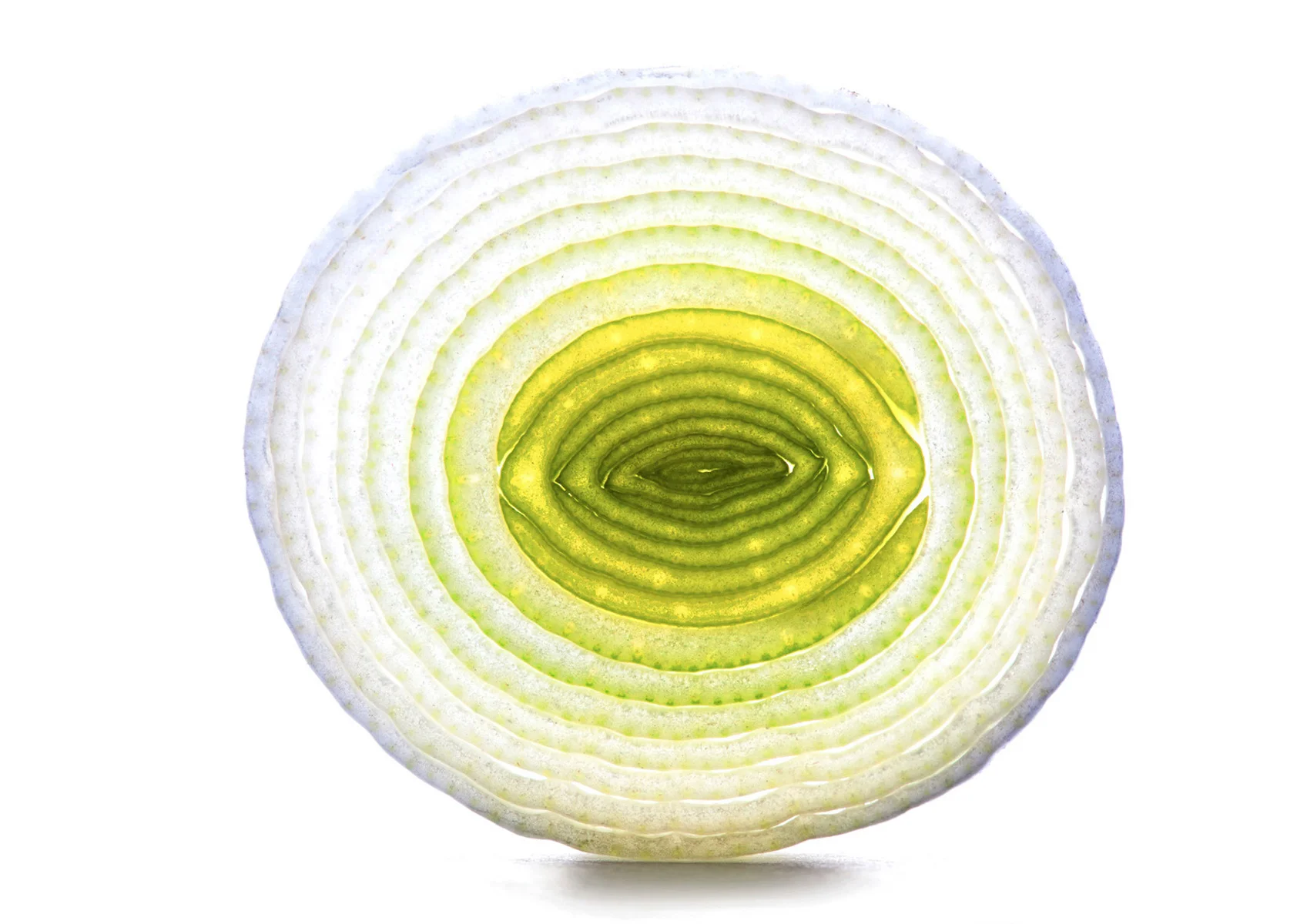 leek.jpg