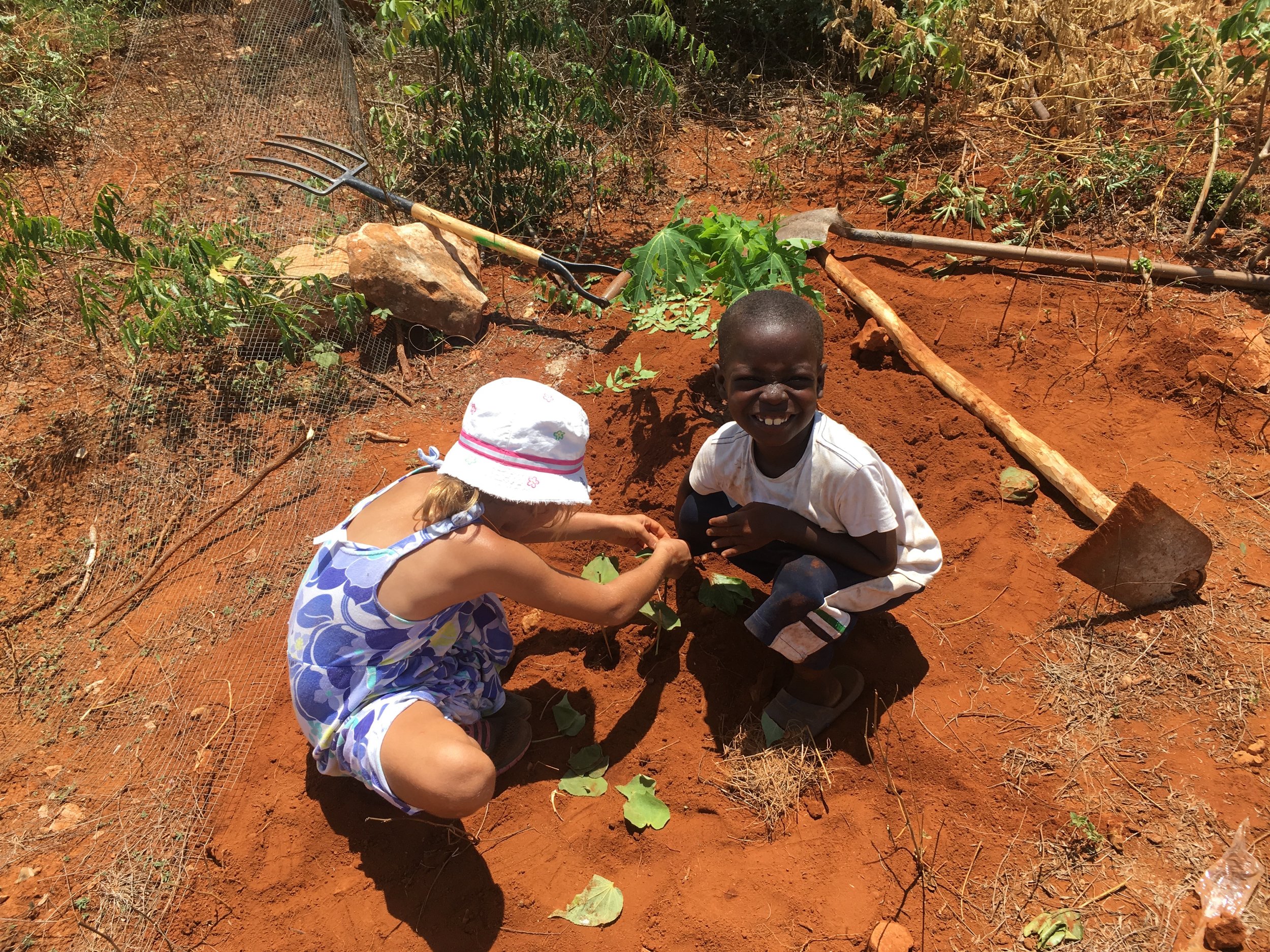  Agriculture&nbsp;   Fighting poverty with seeds of hope  