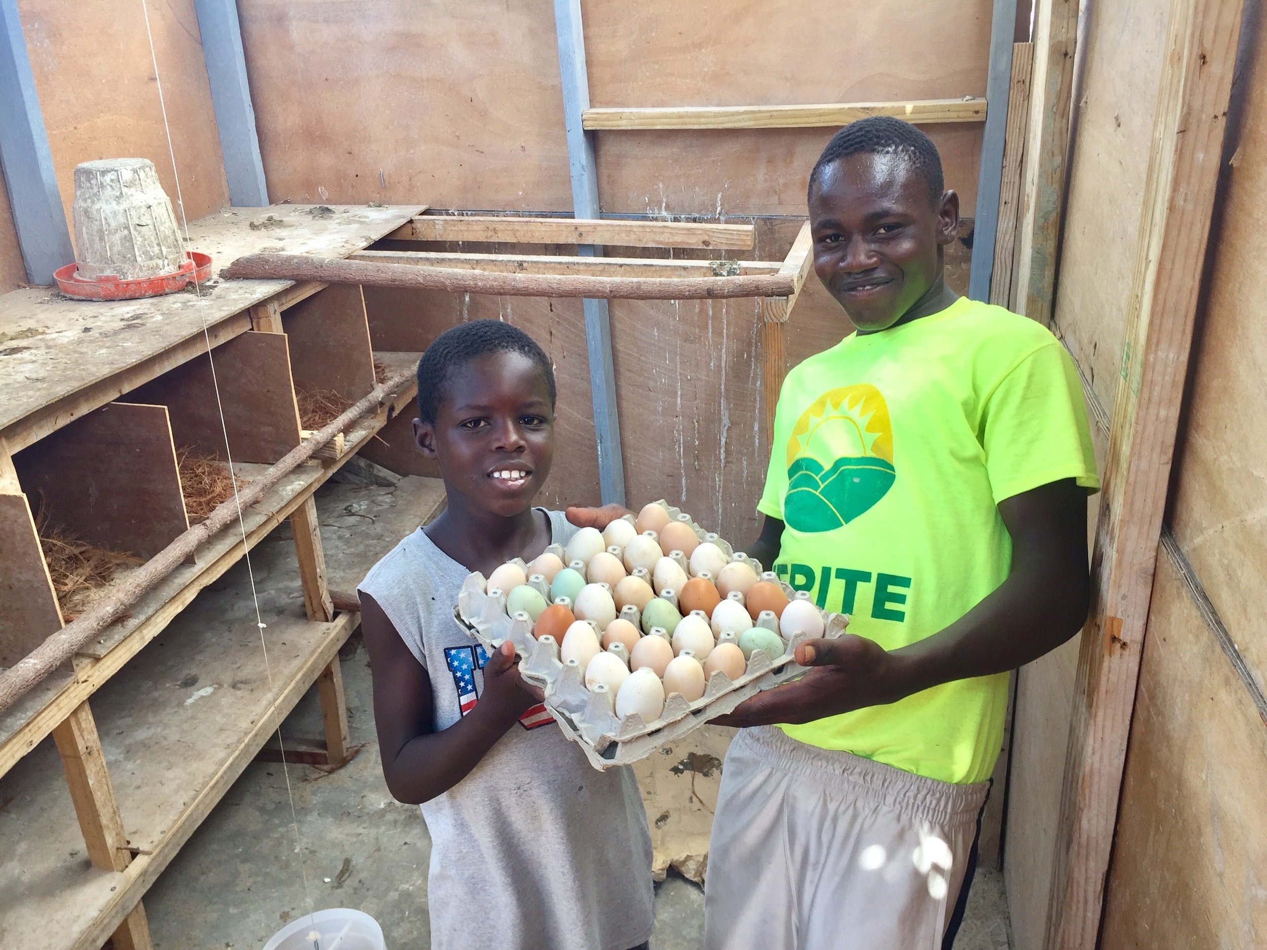      Sustainable Food Provision  Working toward “An Egg a Day” for Kids 