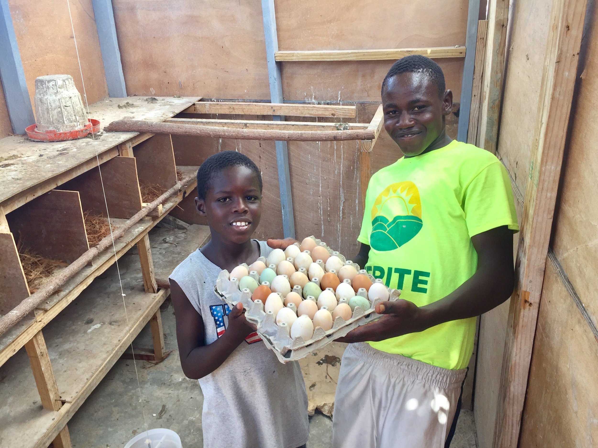 Sustainable Food Provision Working toward “An Egg a Day” for Kids