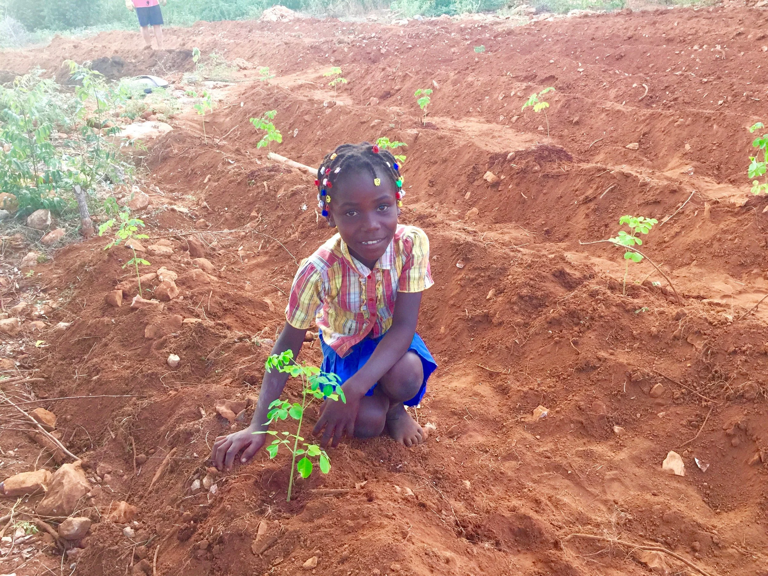 Moringa - Girl Planting - GREAT PHOTO  2.jpg