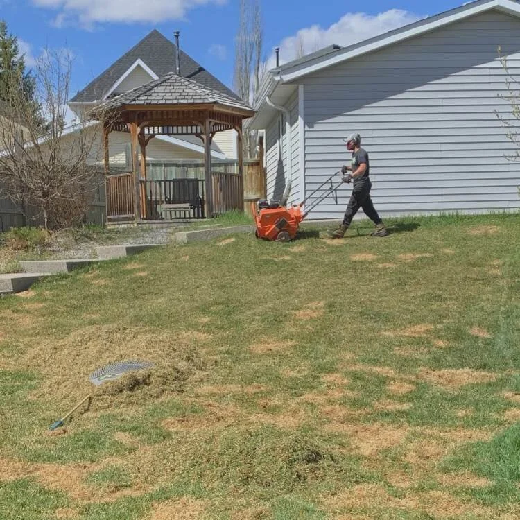 Lawn Care & Snow Removal in NW Calgary LEGENDARY LAWNS