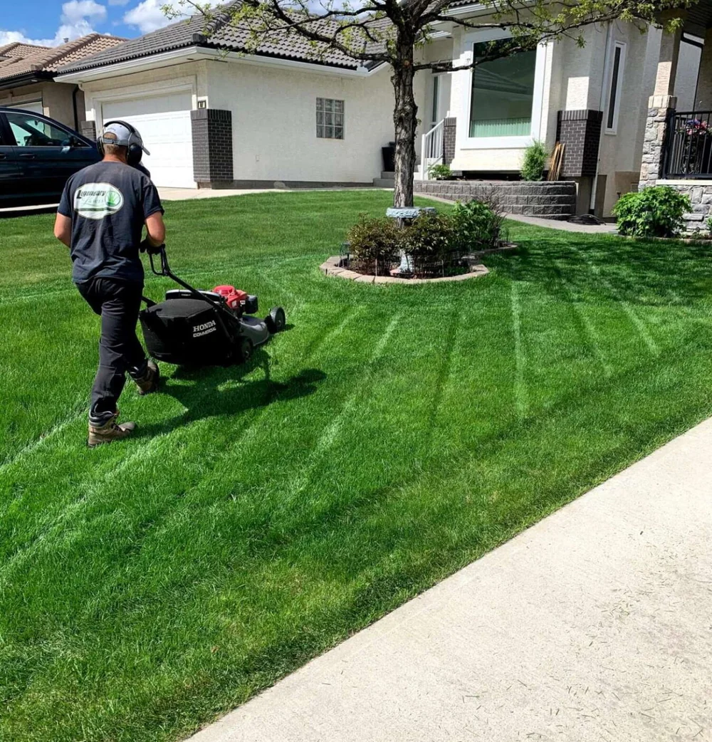 Calgary Power Raking Aeration Spring Yard Cleanup Services