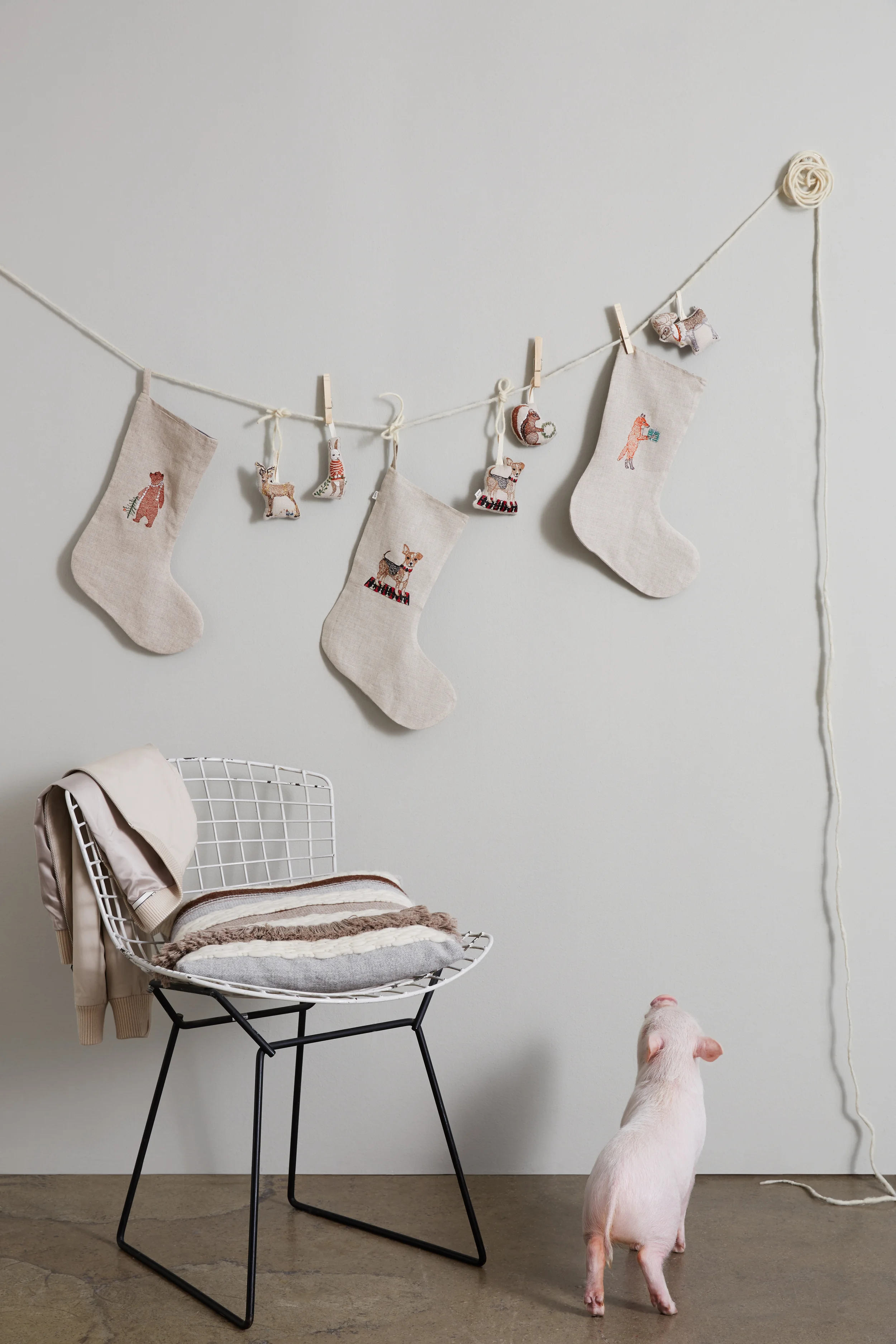 PHOTO PRODUCTION & ANIMAL CASTING - ED by Ellen DeGeneres // Photo: Erin Derby // Creative Director: Juliette Merck