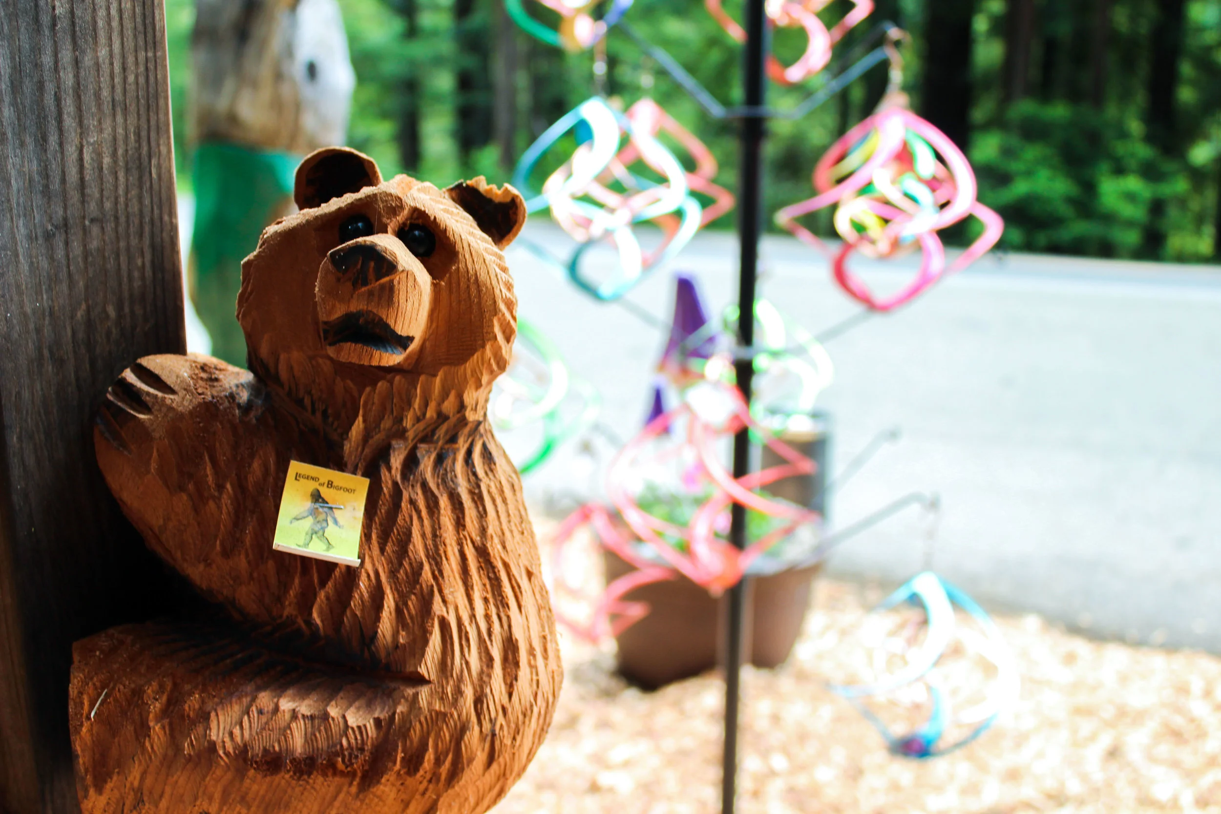 bear.jpg