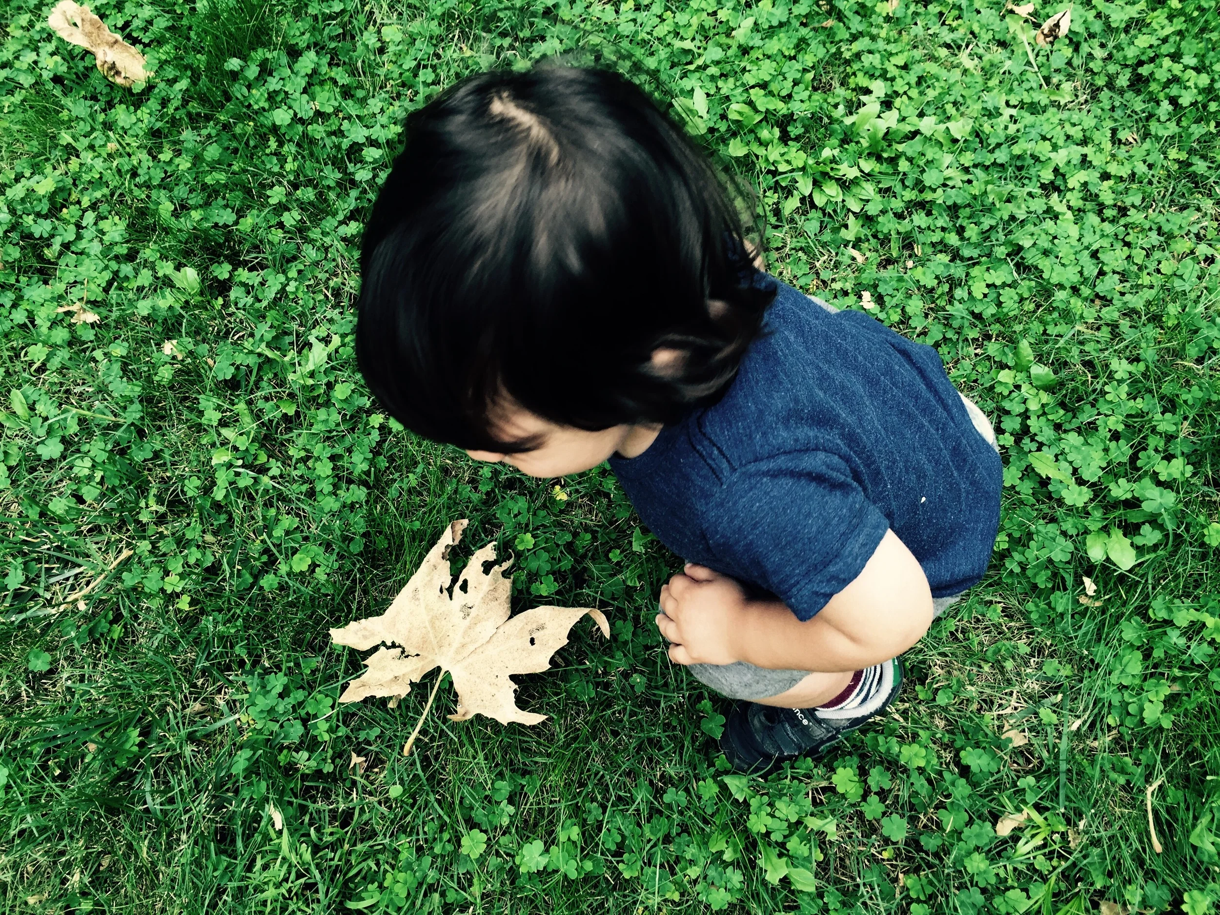 back to nature + temescal canyon