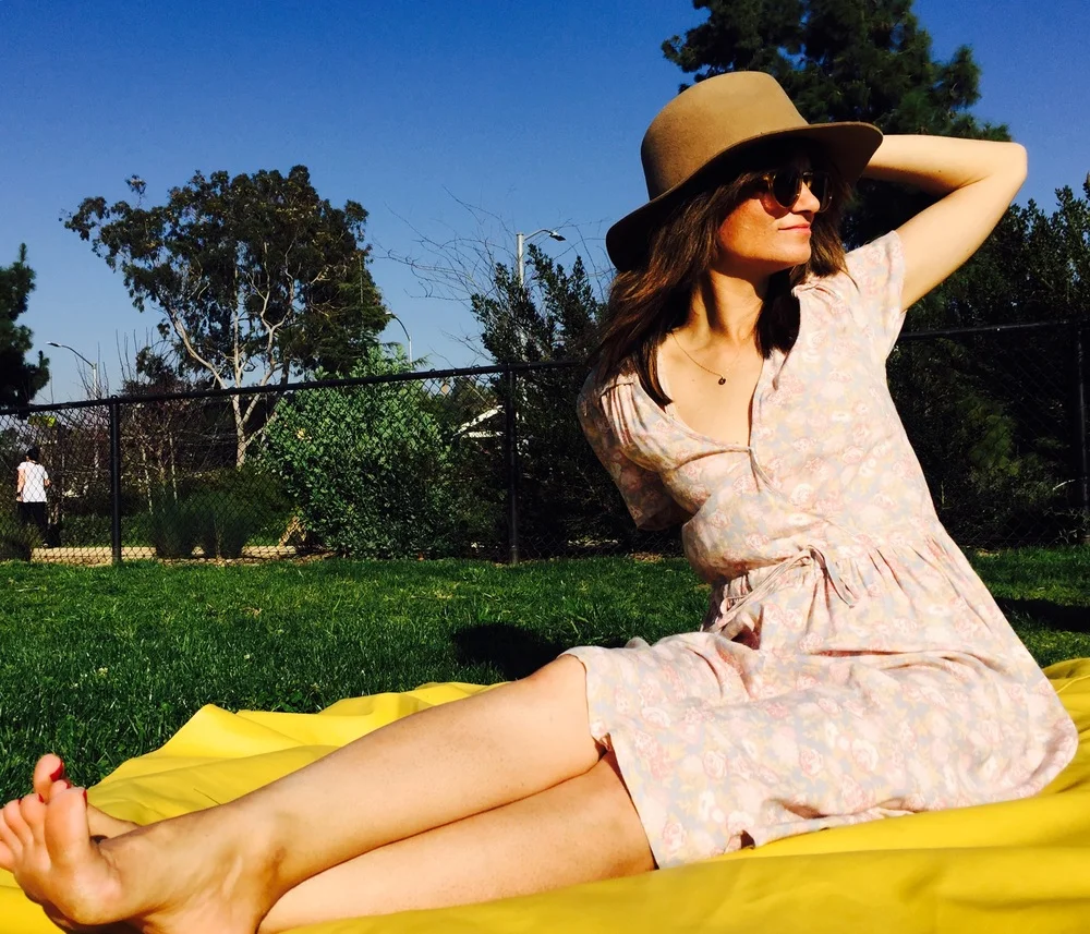 silver lake meadow II: picnic like a boss