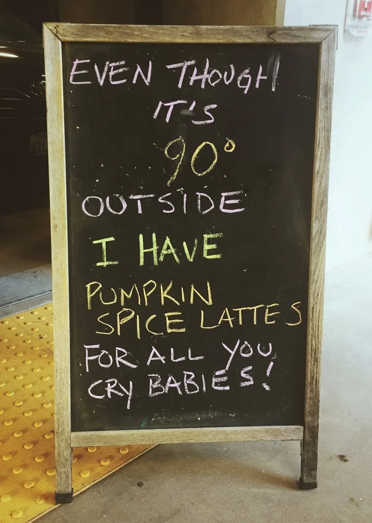 fall progress report