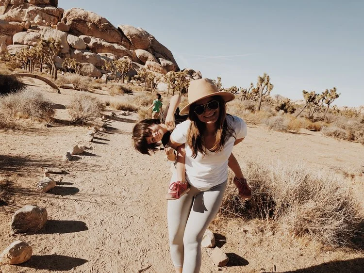 joshua tree