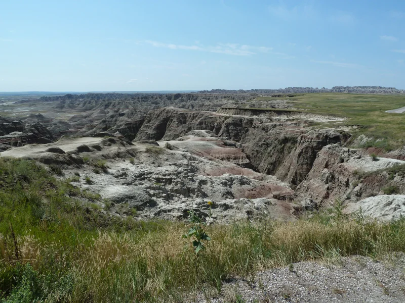 P1010436.jpg
