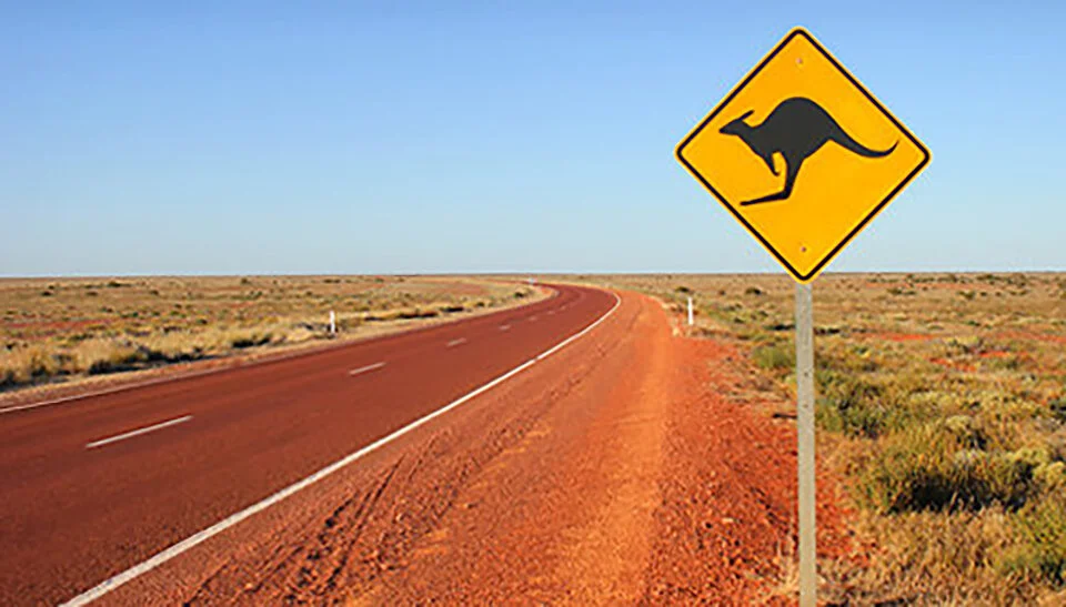 australian-road-kangaroo-sign.jpg