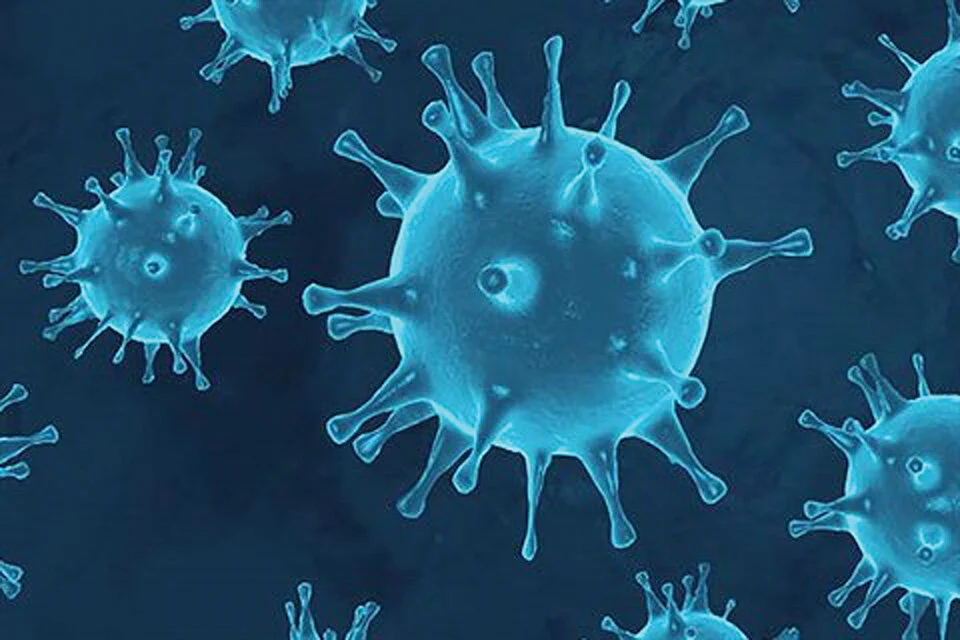 add_Covid-19 Corona Virus.jpg