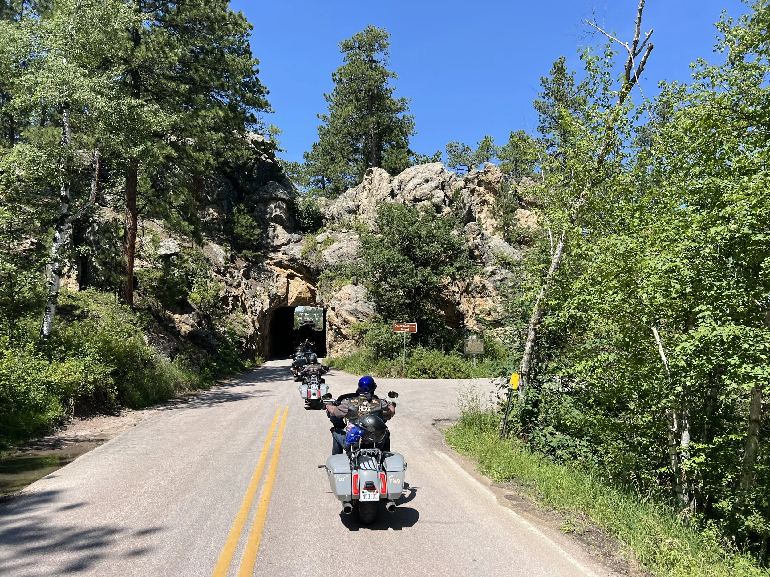 IMG_4353 Needles Hwy.jpeg