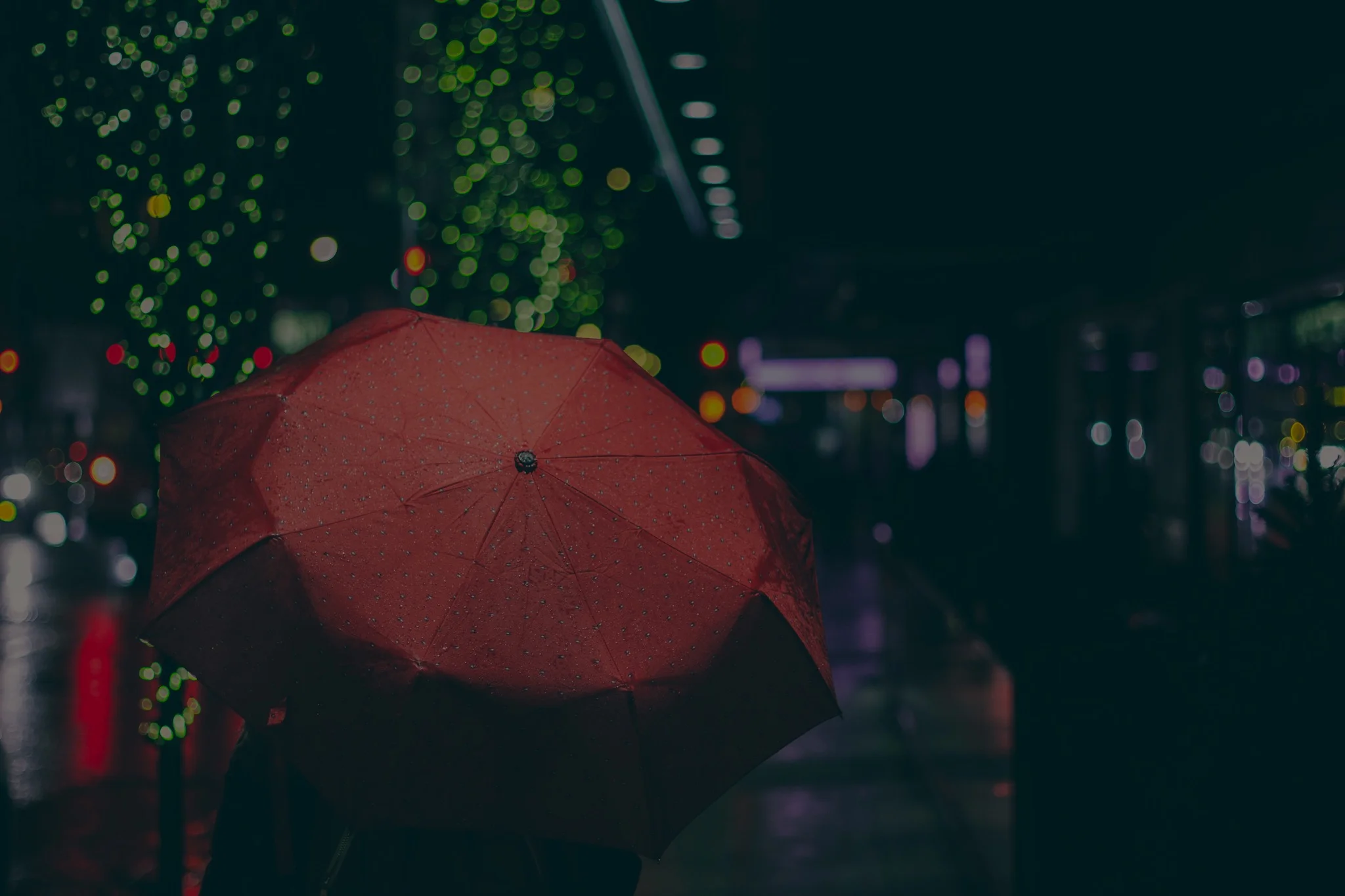 Umbrella Insurance