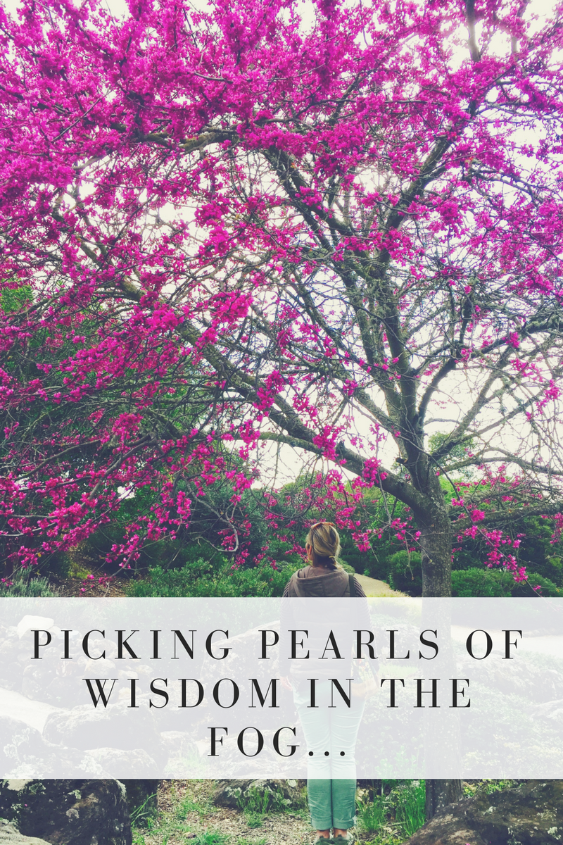 Picking Pearls of Wisdom in the Fog