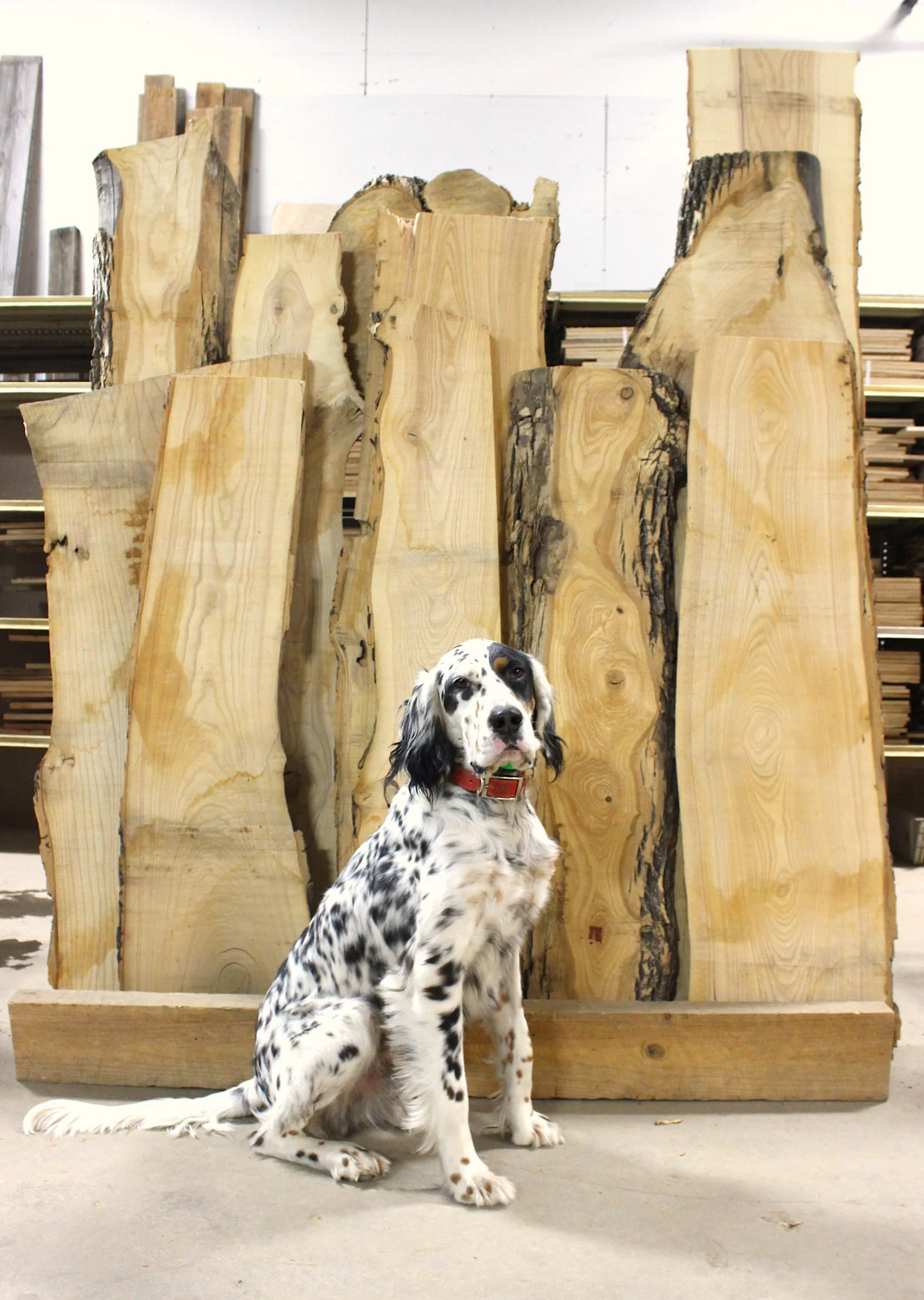 Watson Wednesday Slabs .jpg