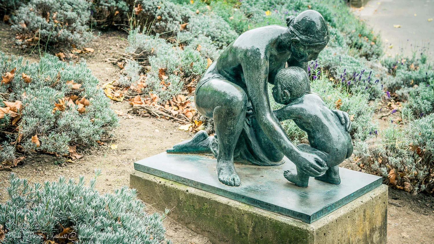 D8H_2472.jpg